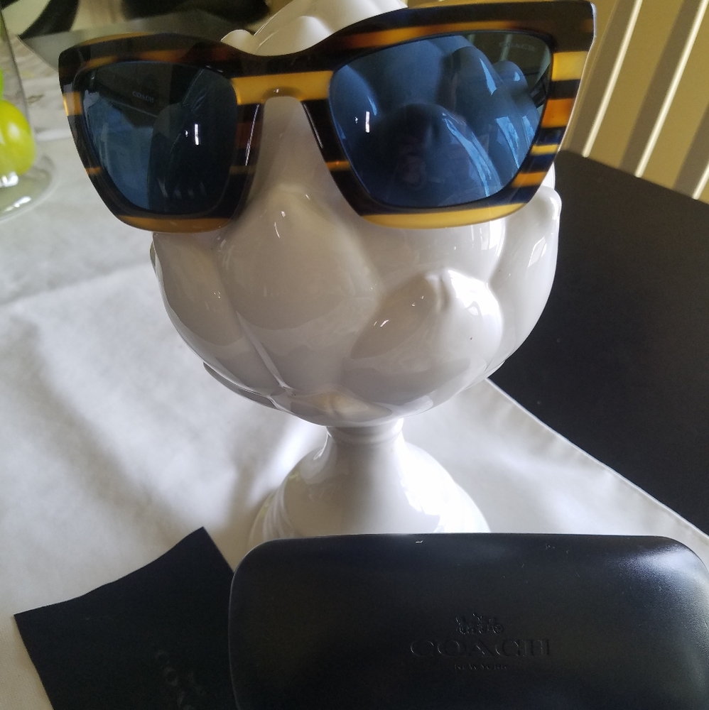 Coach Blue Honey Varsity Stripe Sunglasses - Picture 5 of 8